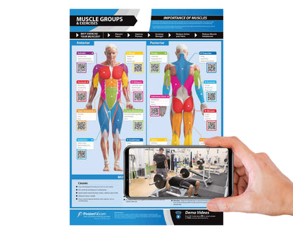 Ultimate Fitness Companion: Large 24x16.5 Laminated Gym Poster with Video Guides